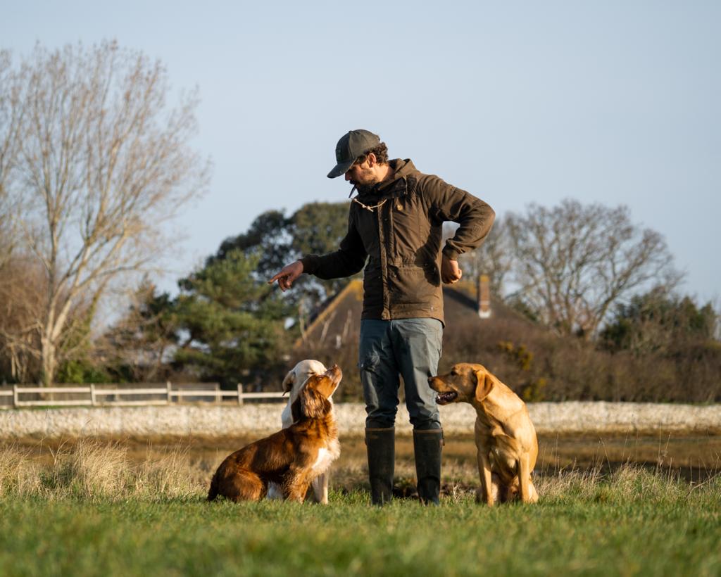 Gundog App - can you train a working dog with one successfully? | ShootingUK